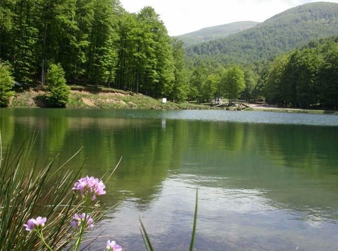 Gite Botiga Saint-Jean-le-Vieux  Εξωτερικό φωτογραφία